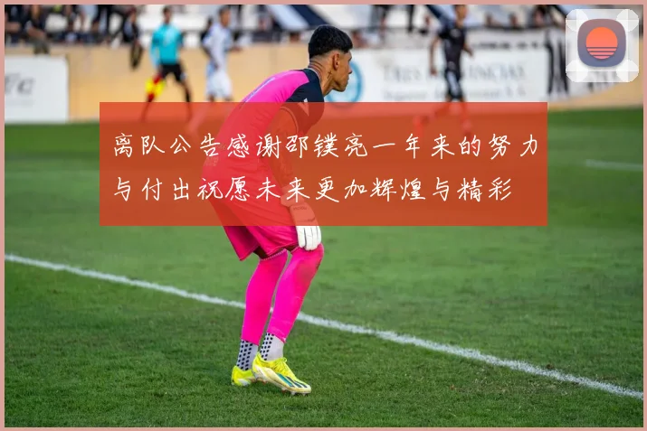 离队公告感谢邵镤亮一年来的努力与付出祝愿未来更加辉煌与精彩